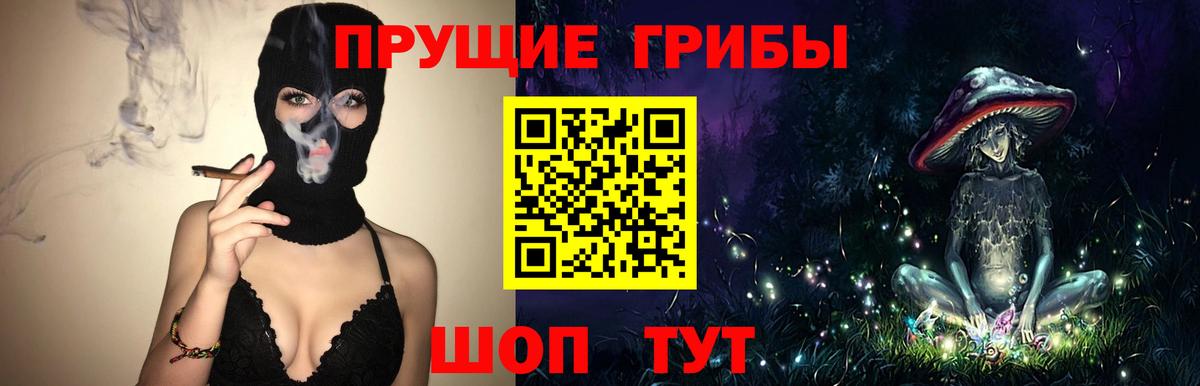 хочу   Псилоцибиновые грибы Psilocybine cubensis  Вход с VPN  Прохладный 